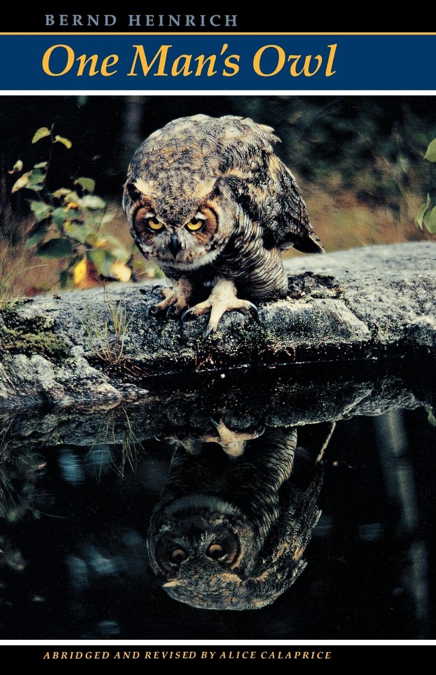Vorderes Coverbild One Man's Owl