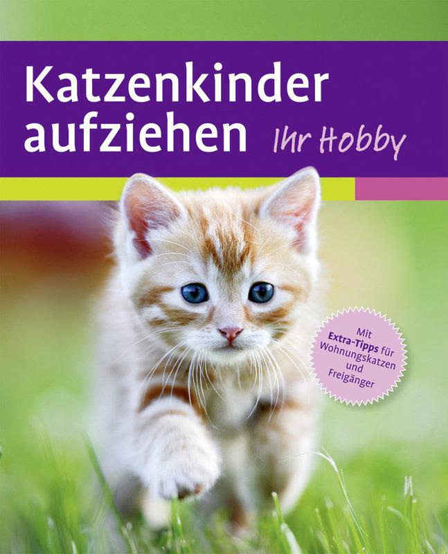 Vorderes Coverbild Katzenkinder aufziehen