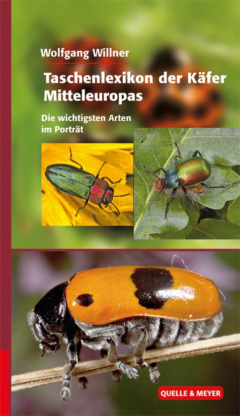Vorderes Coverbild Taschenlexikon der Käfer Mitteleuropas