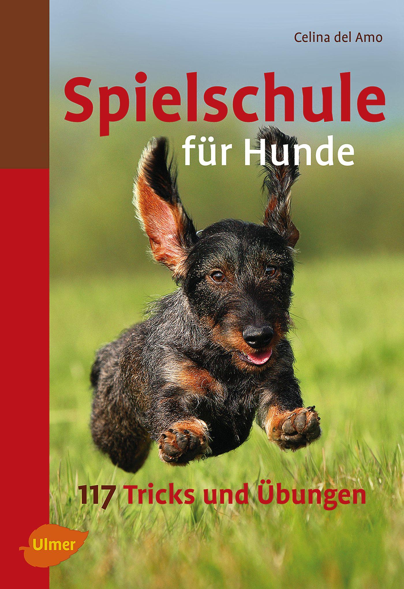 Vorderes Coverbild Spielschule für Hunde