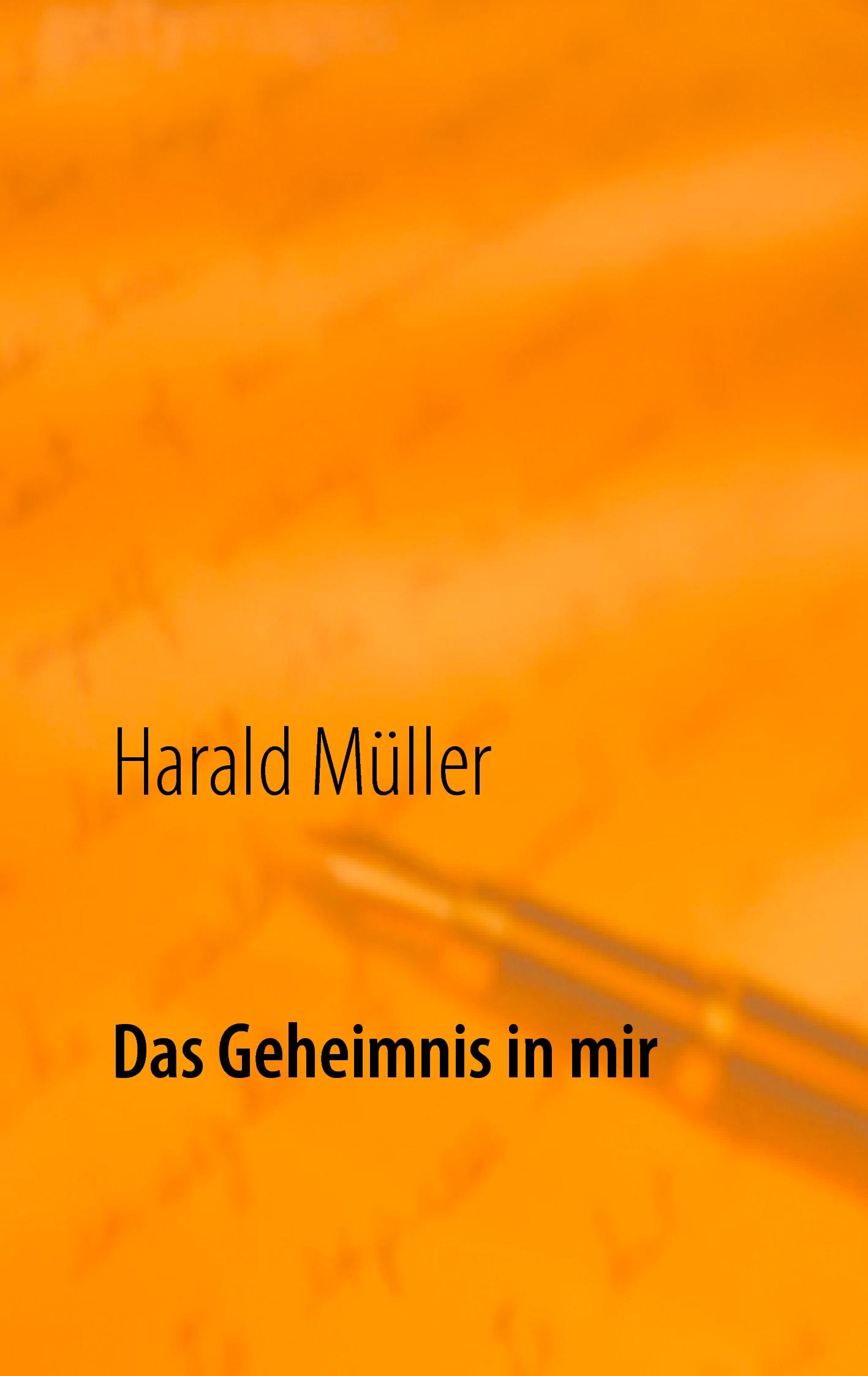 Vorderes Coverbild Das Geheimnis in mir