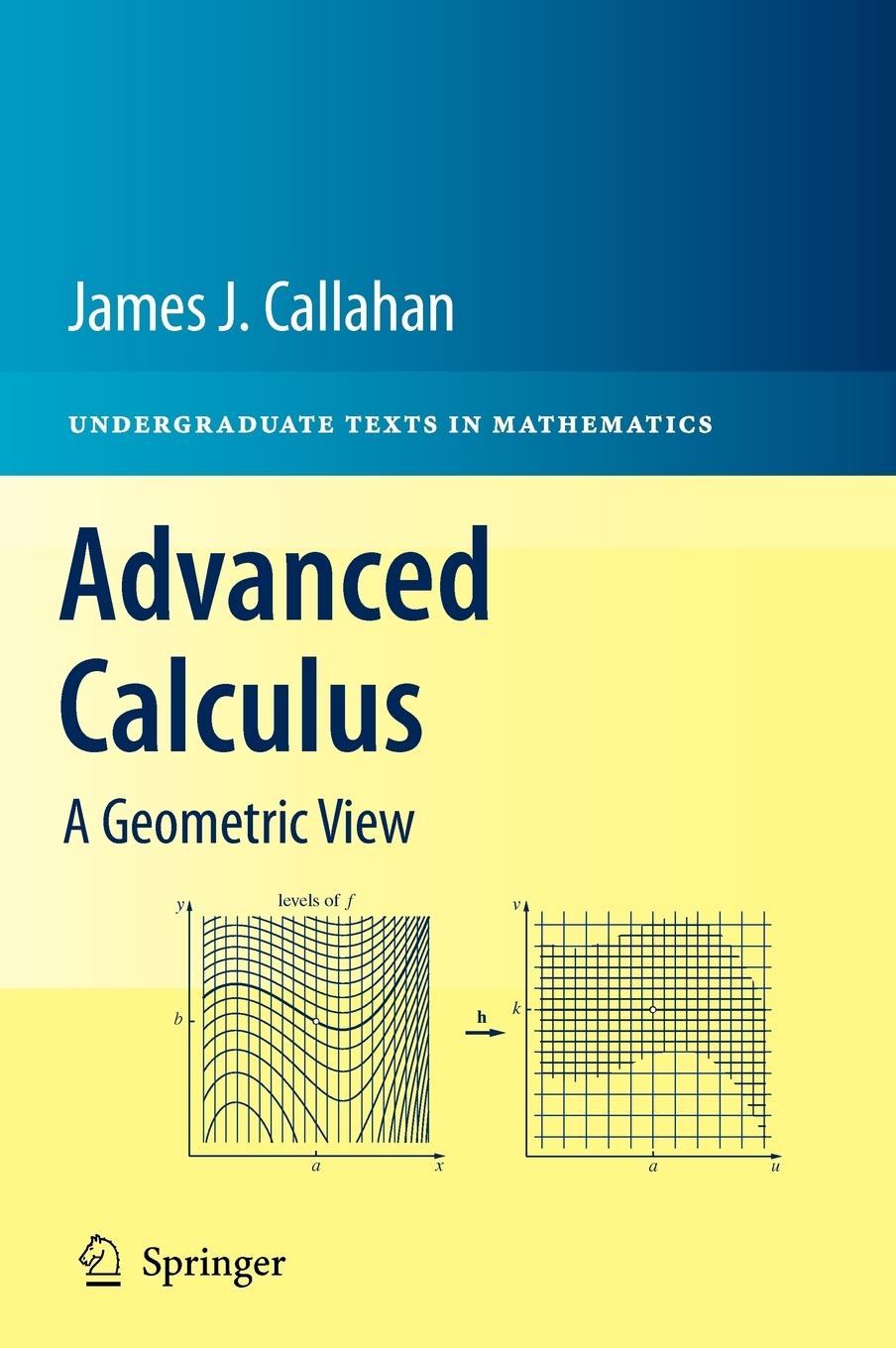 Vorderes Coverbild Advanced Calculus