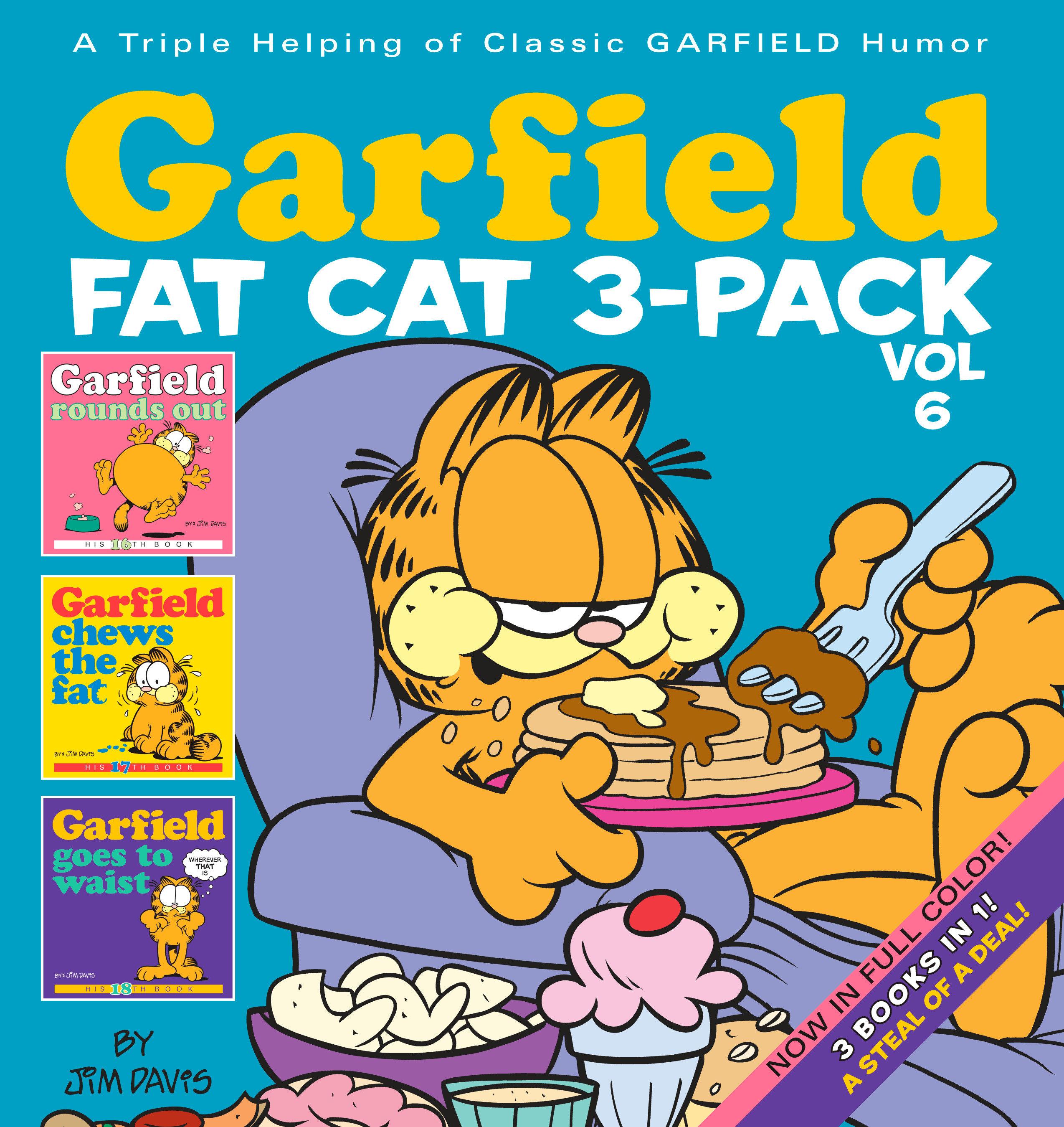 Vorderes Coverbild Garfield Fat Cat 3-Pack Volume 6