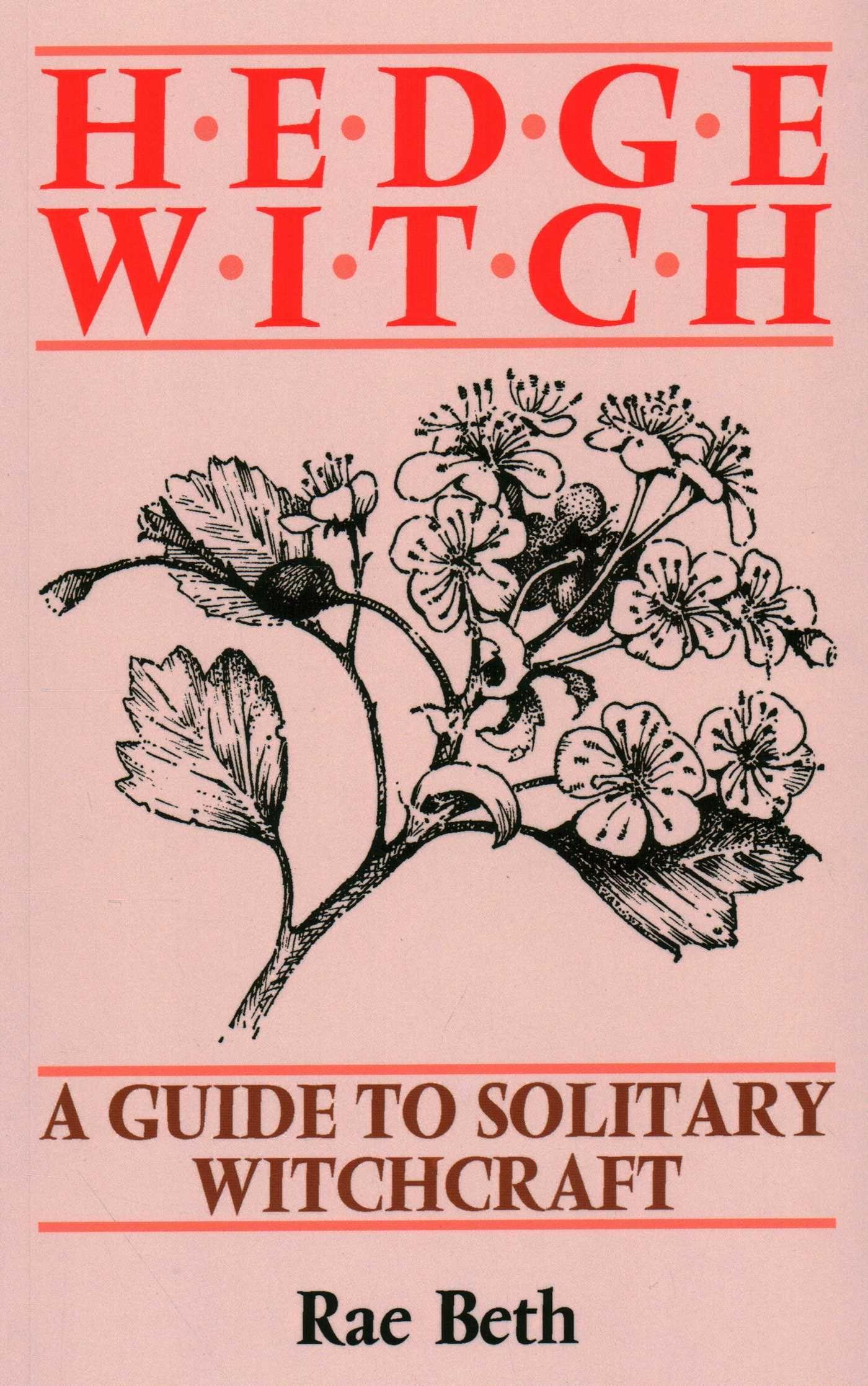 Vorderes Coverbild Hedge Witch