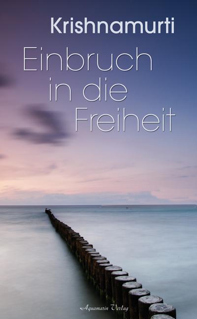 Vorderes Coverbild Einbruch in die Freiheit