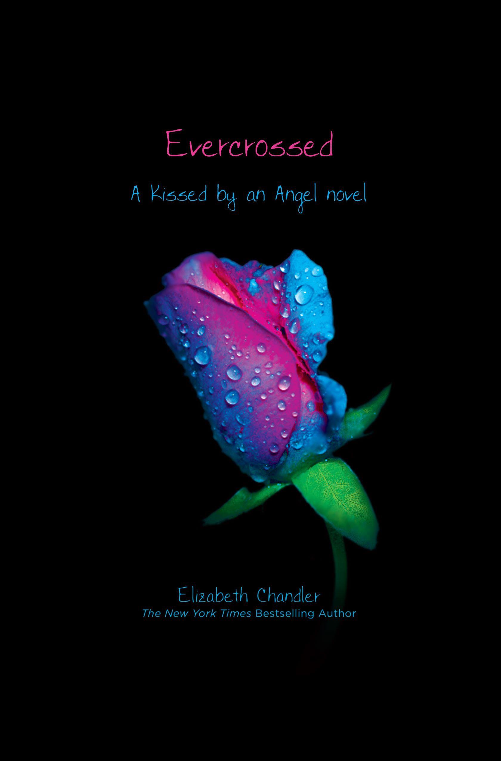 Vorderes Coverbild Evercrossed