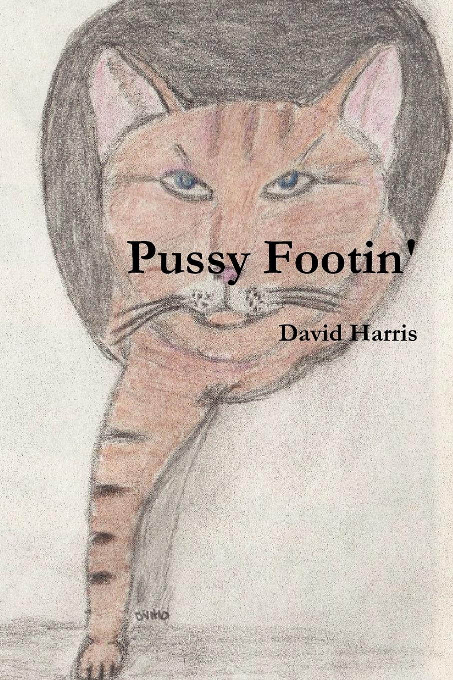 Vorderes Coverbild Pussy Footin'