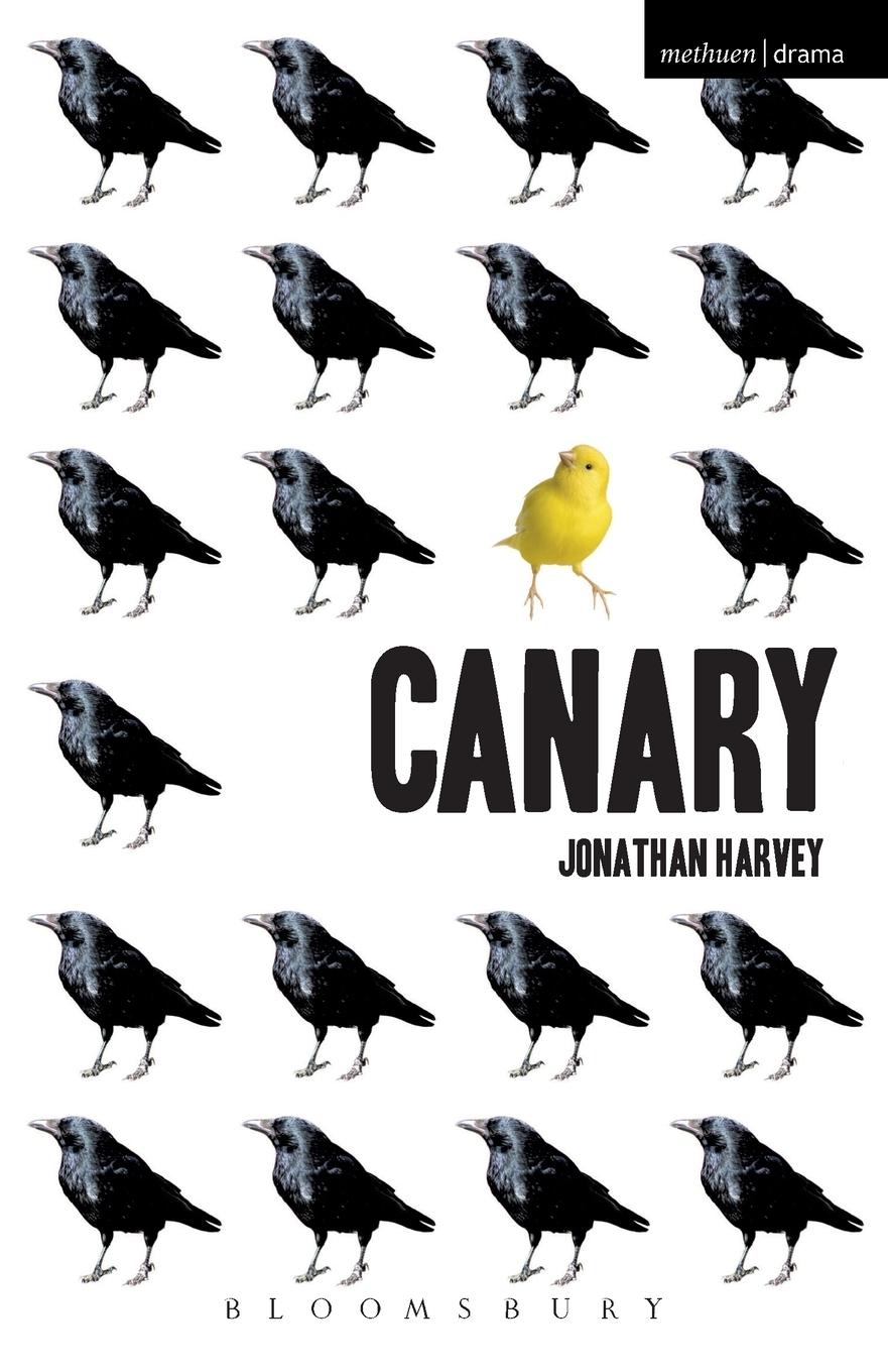 Vorderes Coverbild Canary