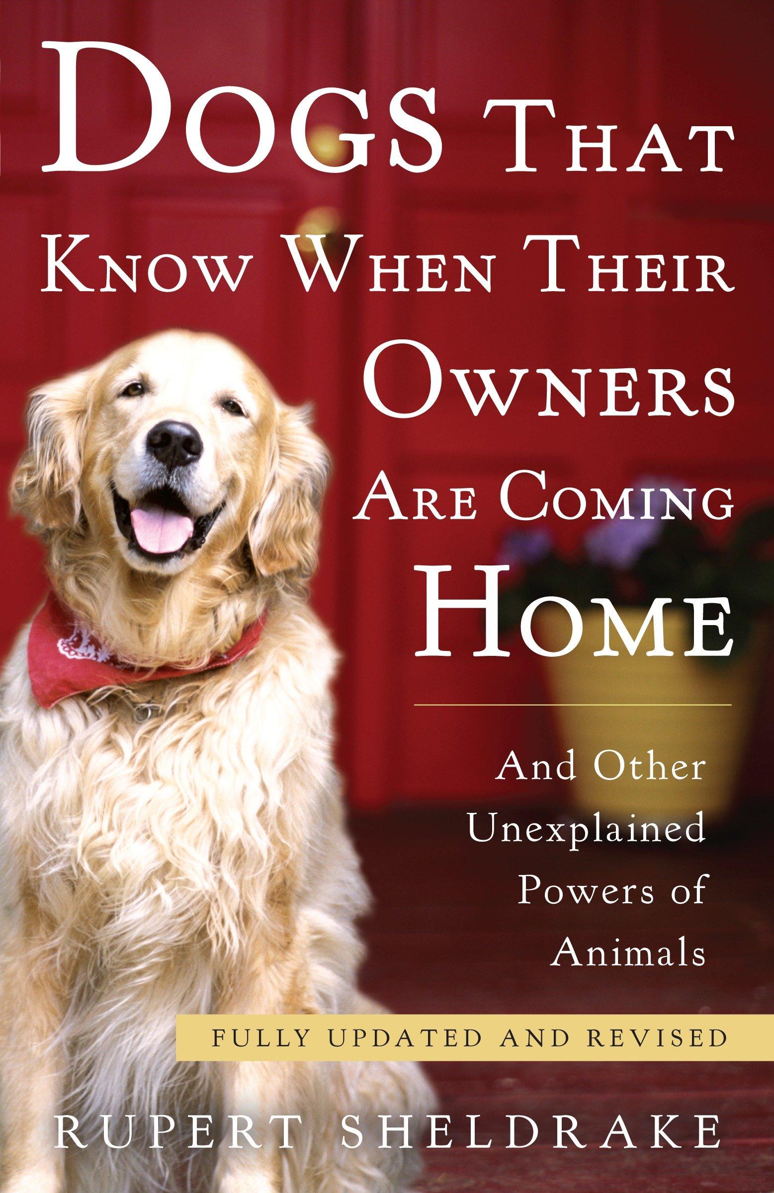 Vorderes Coverbild Dogs That Know When Their Owners Are Coming Home
