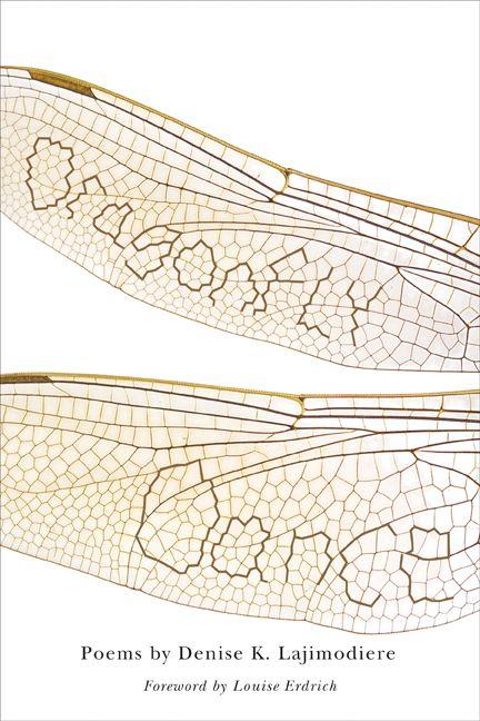 Vorderes Coverbild Dragonfly Dance