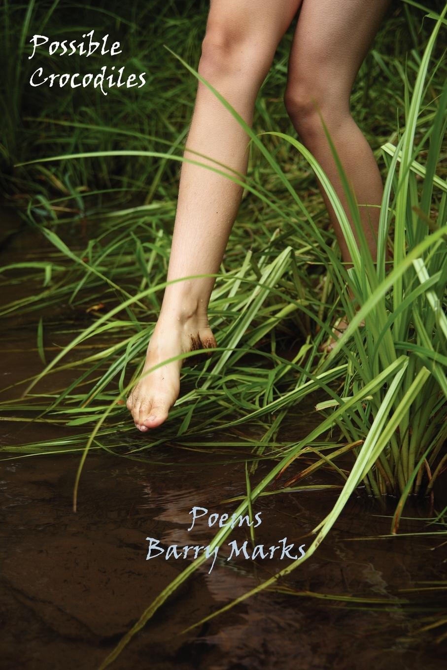 Vorderes Coverbild Possible Crocodiles