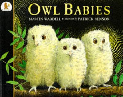 Vorderes Coverbild Owl Babies