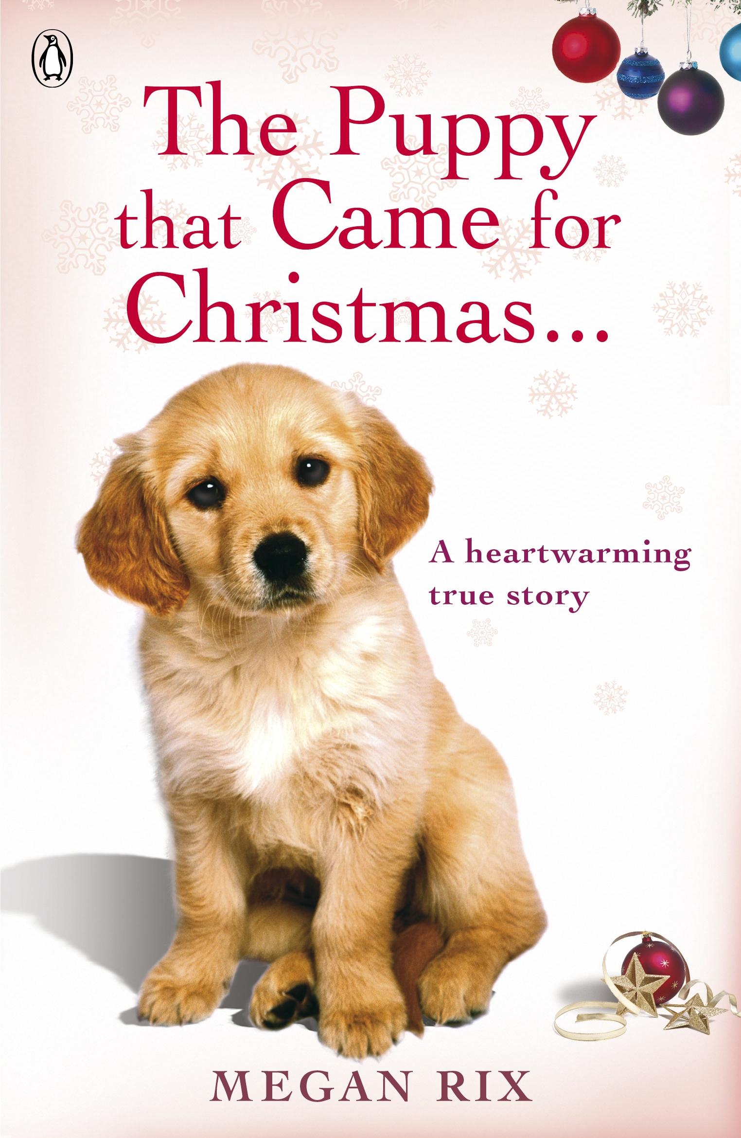 Vorderes Coverbild The Puppy that Came for Christmas and Stayed Forever