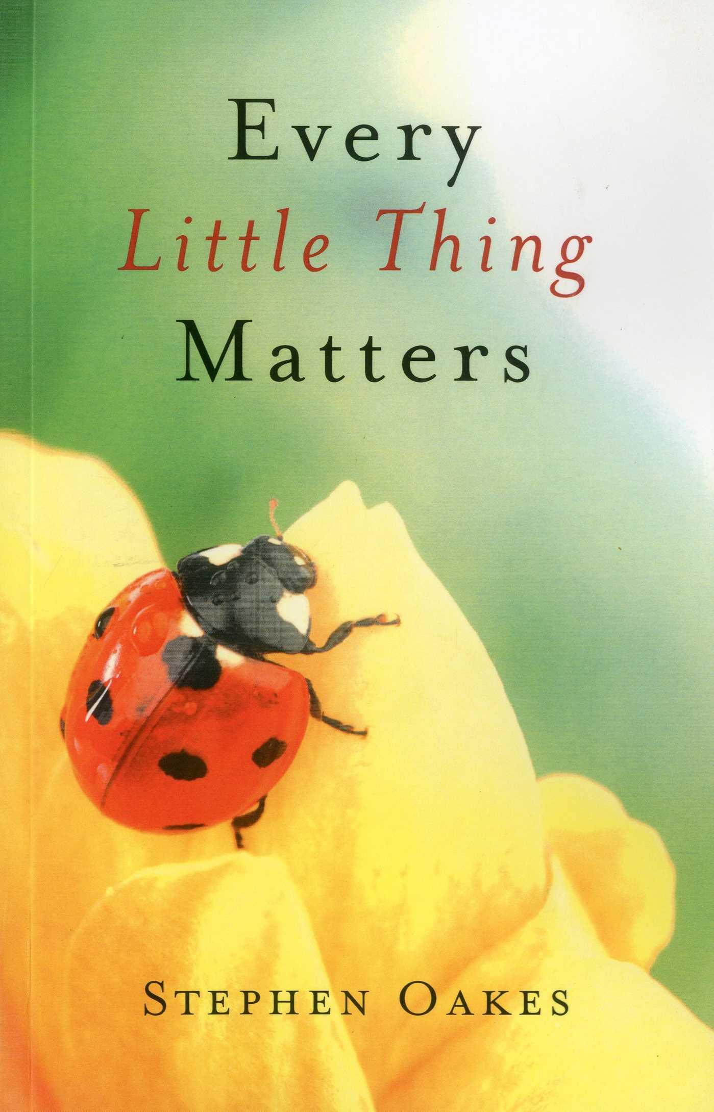 Vorderes Coverbild Every Little Thing Matters