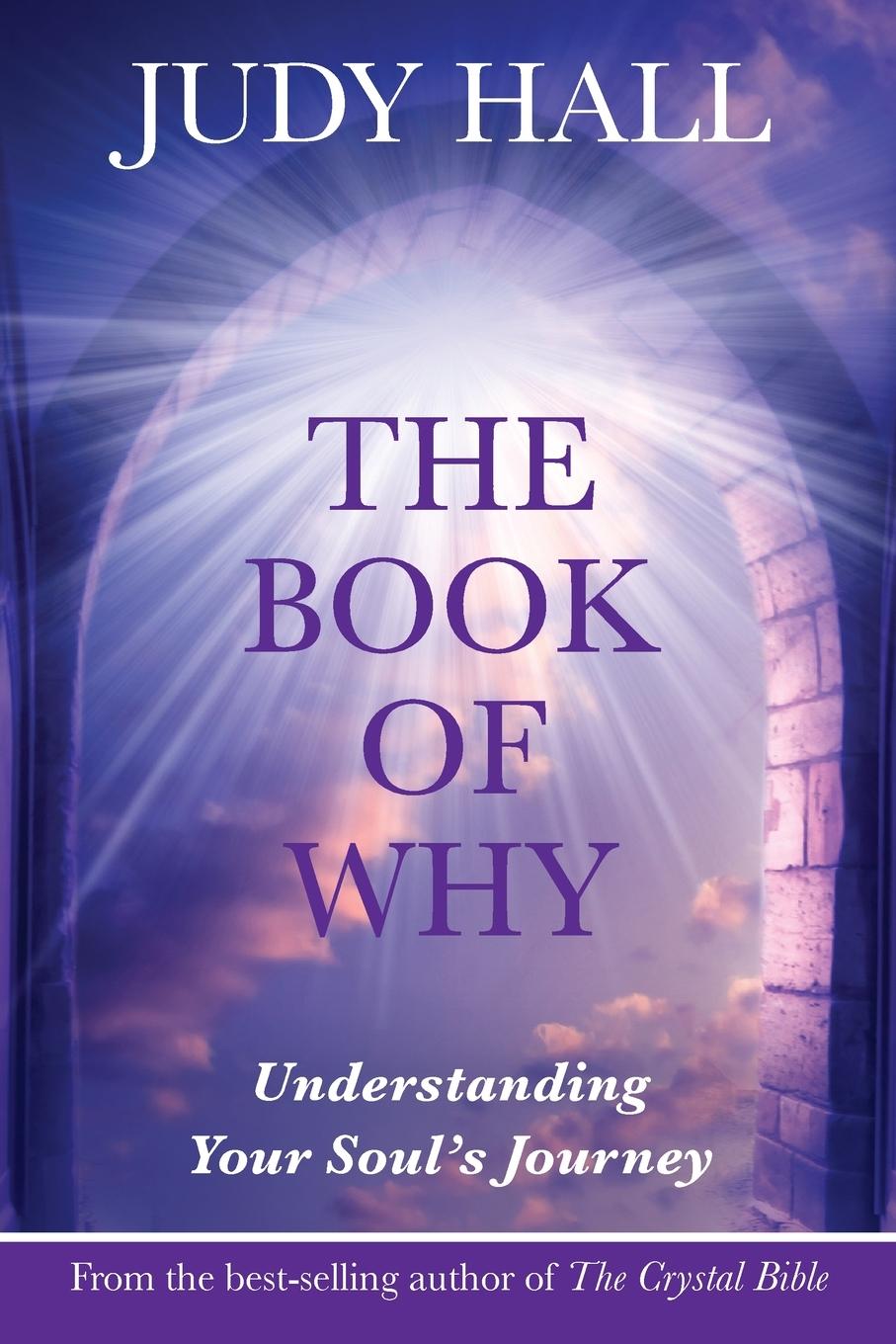 Vorderes Coverbild The Book of Why