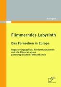 Vorderes Coverbild Flimmerndes Labyrinth: Das Fernsehen in Europa  - Regulierungspolitik, Fördermaßnahmen und die Chancen eines paneuropäischen Fernsehkanals