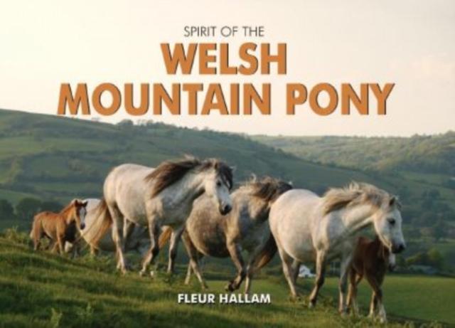 Vorderes Coverbild Spirit of the Welsh Mountain Pony