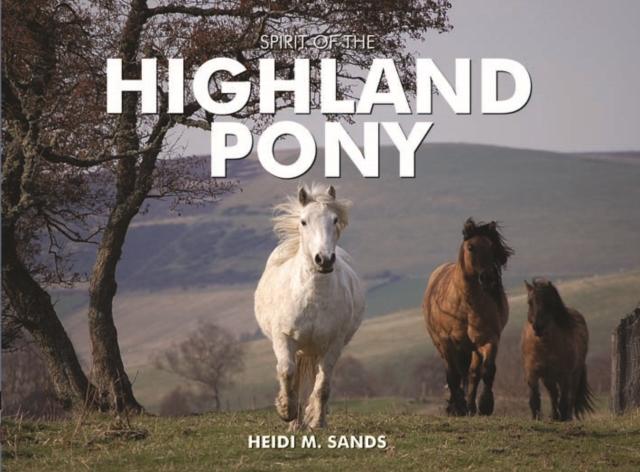 Vorderes Coverbild Spirit of the Highland Pony