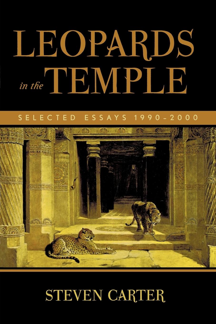 Vorderes Coverbild Leopards in the Temple