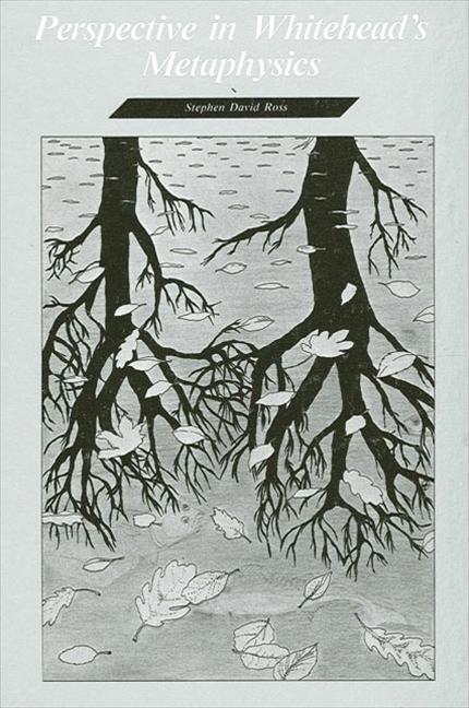 Vorderes Coverbild Perspective in Whitehead's Metaphysics