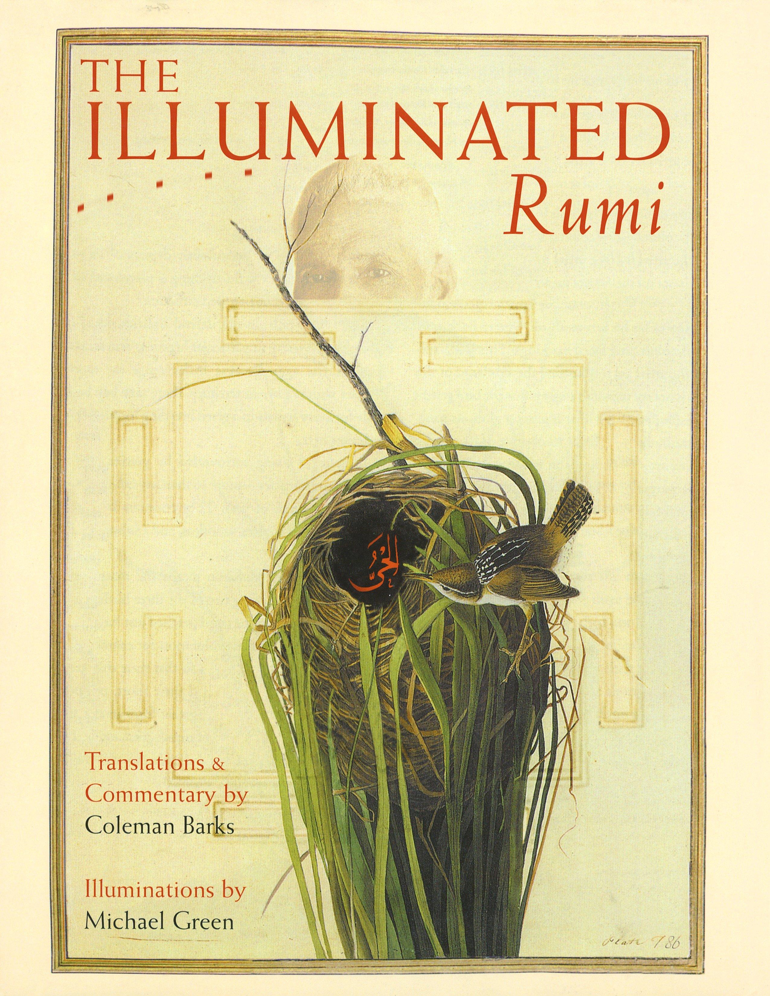 Vorderes Coverbild The Illuminated Rumi