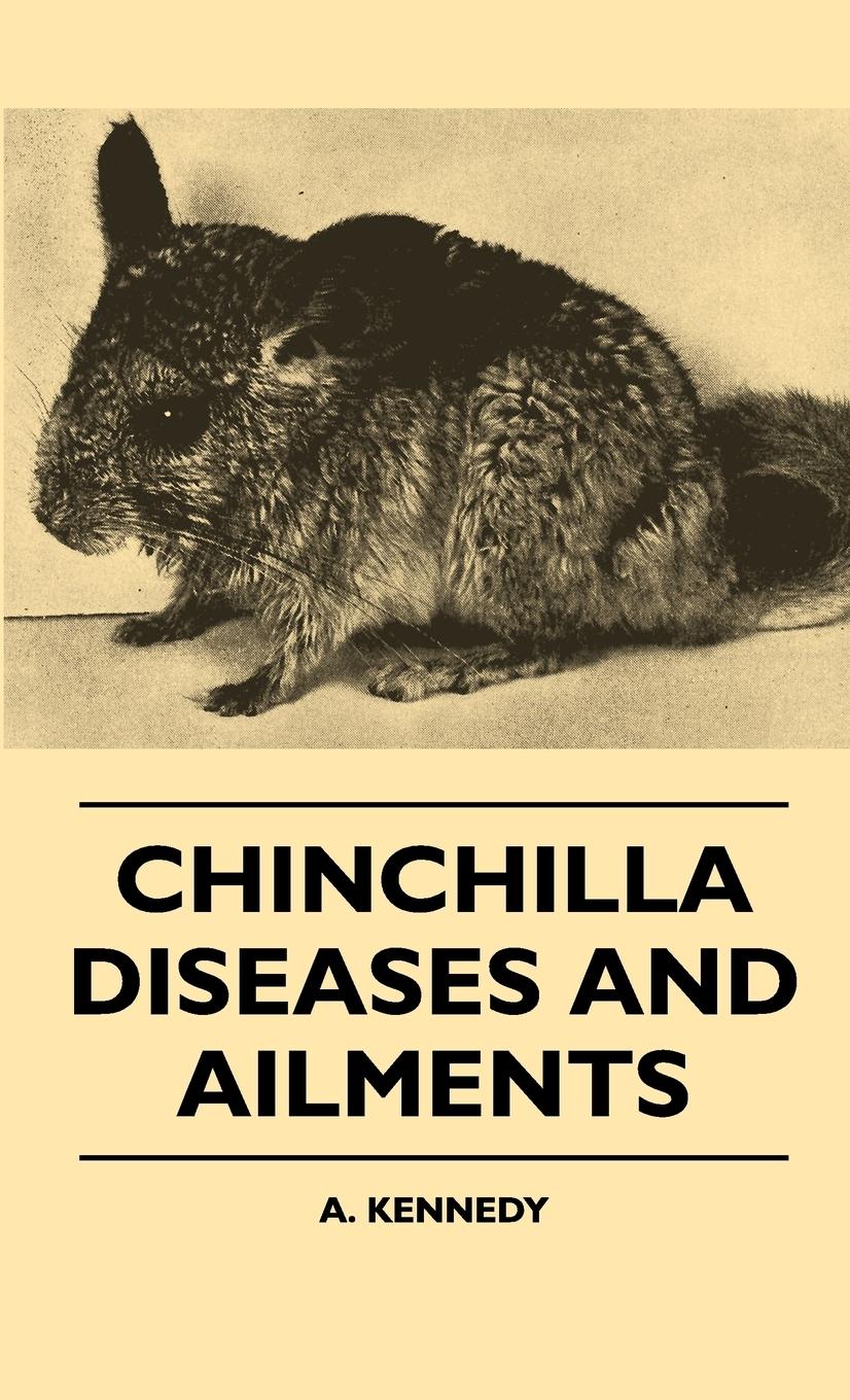 Vorderes Coverbild Chinchilla Diseases And Ailments
