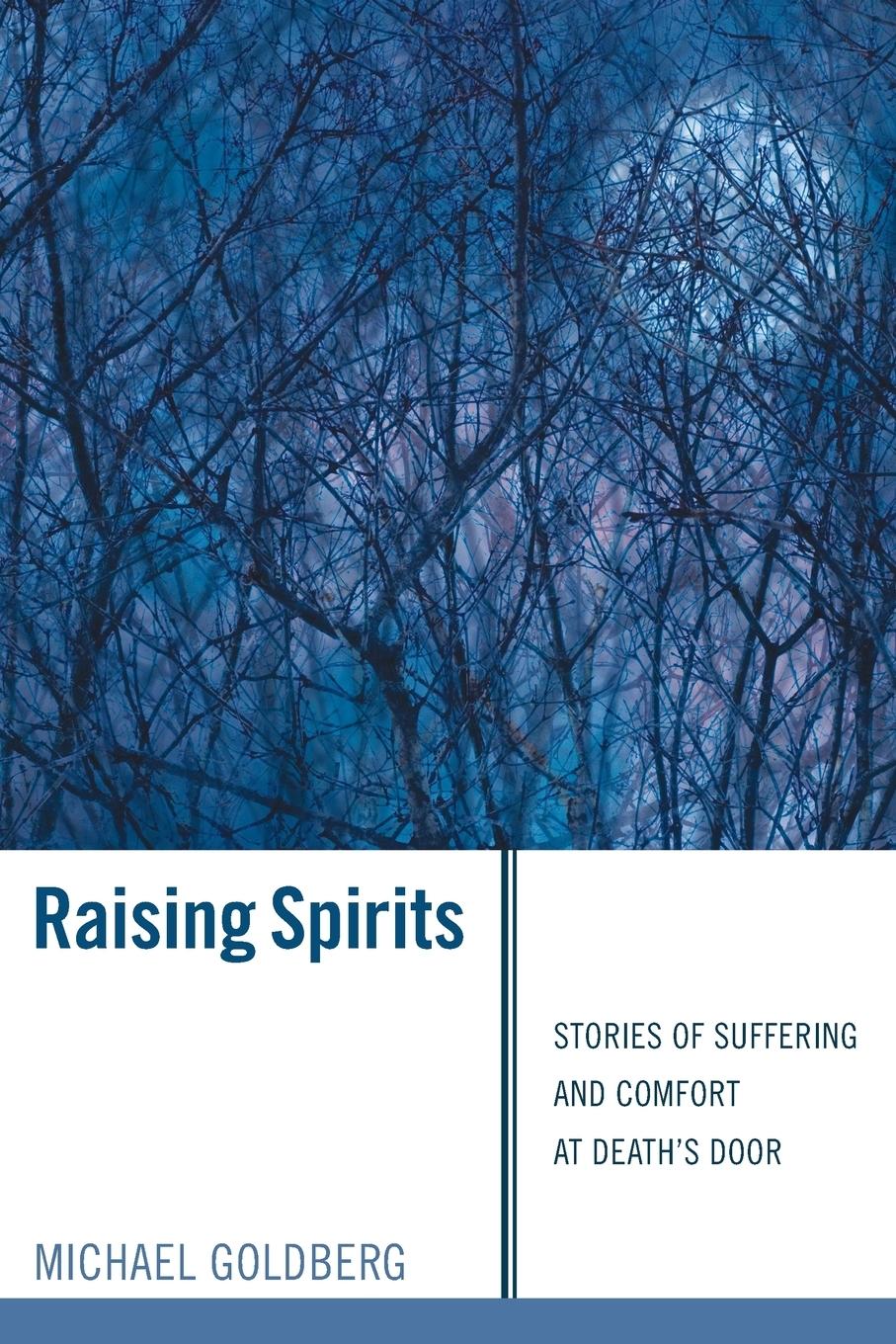 Vorderes Coverbild Raising Spirits