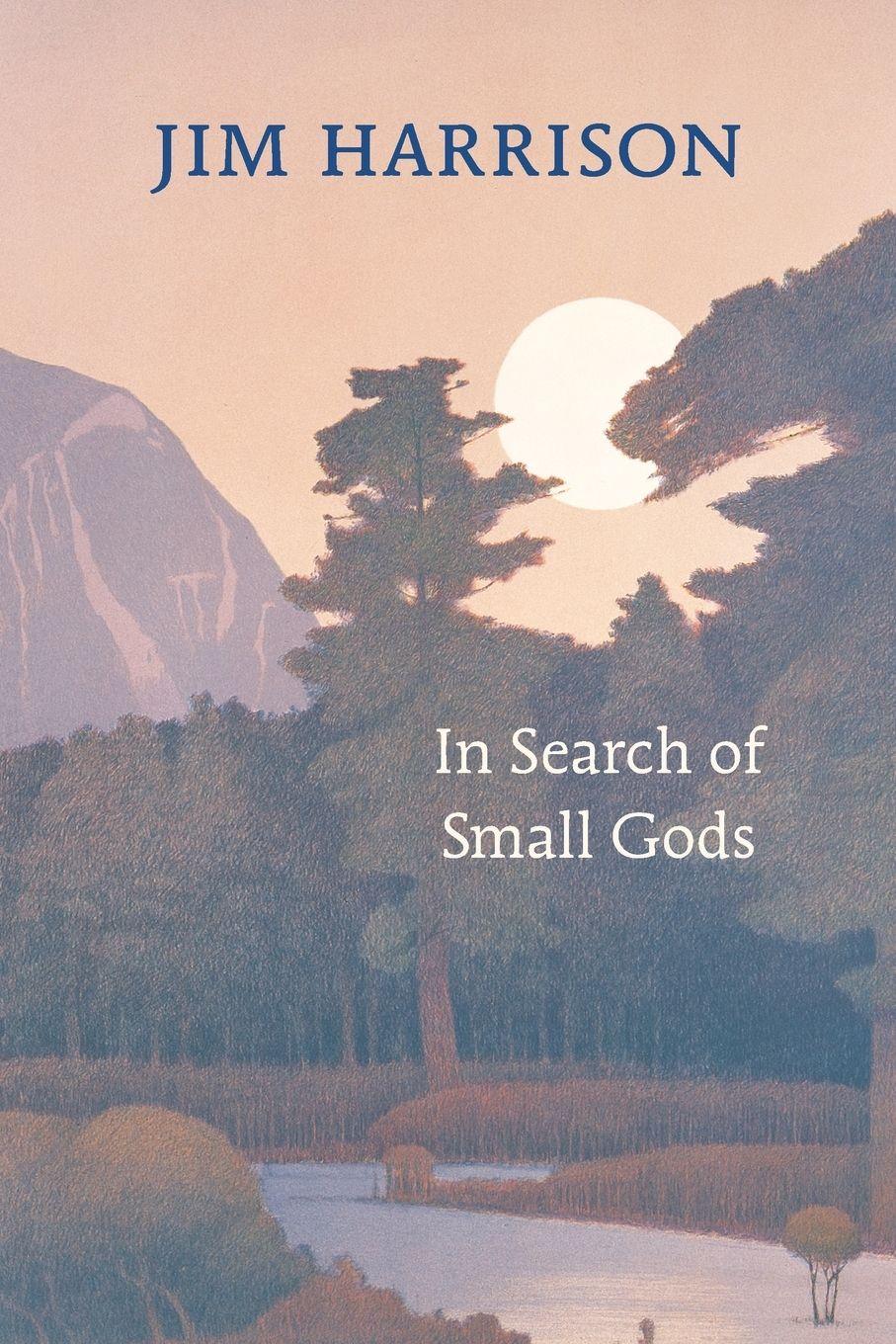 Vorderes Coverbild In Search of Small Gods