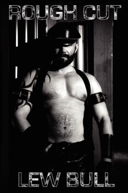 Vorderes Coverbild Rough Cut