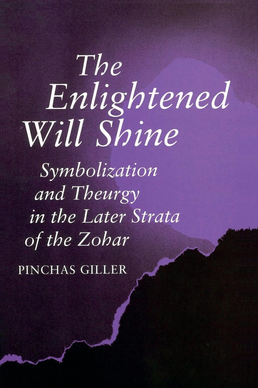 Vorderes Coverbild The Enlightened Will Shine