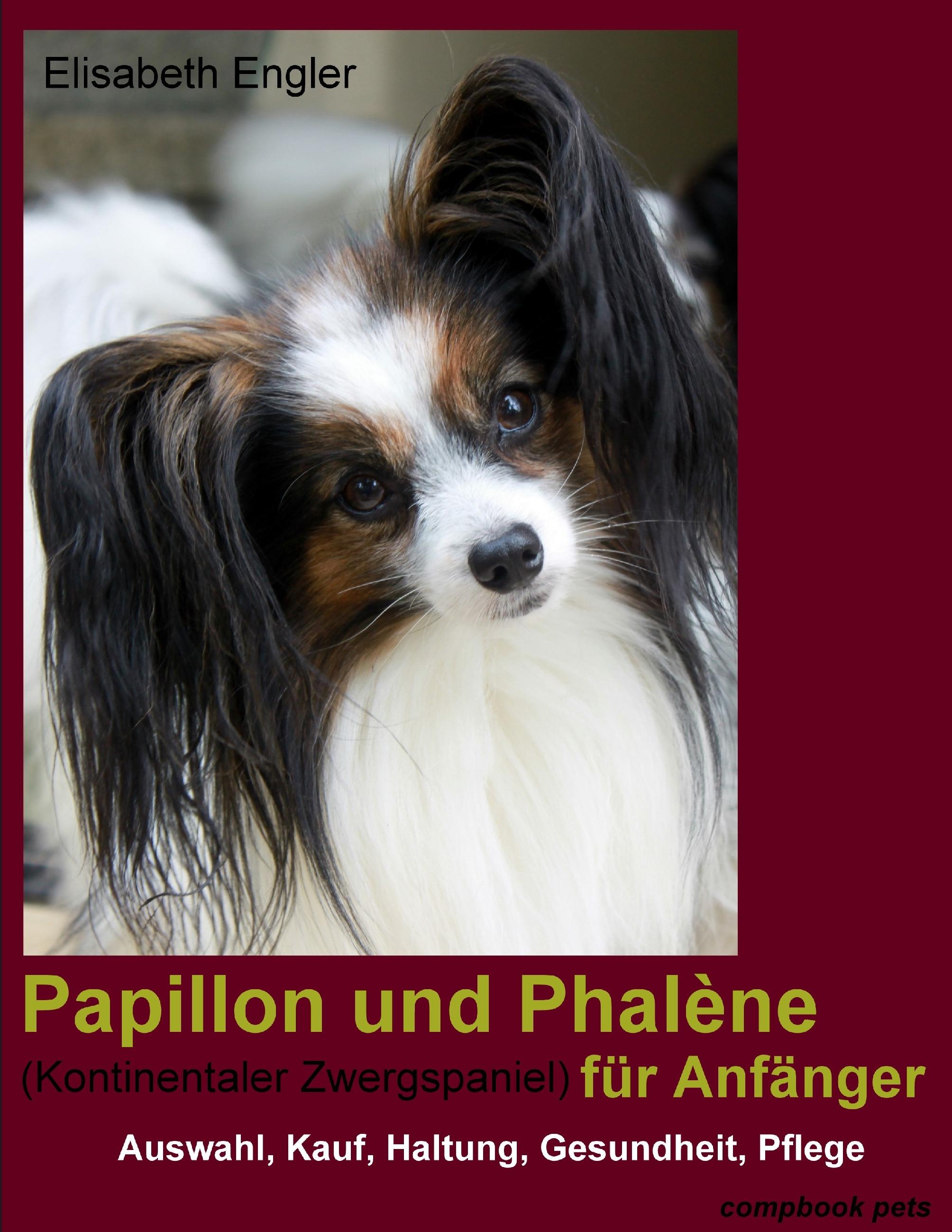 Vorderes Coverbild Papillon und Phalène (Kontinentaler Zwergspaniel) für Anfänger