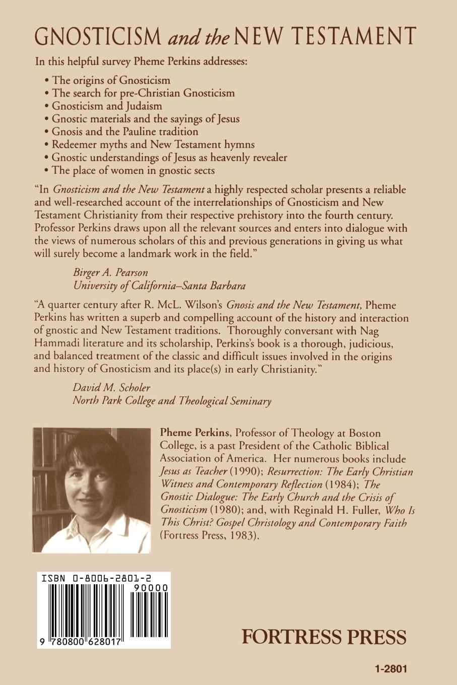 Rückseitencover GNOSTICISM and the NEW TESTAMENT