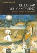 Vorderes Coverbild El lugar del campesino : en torno a la obra de Reyna Pastor