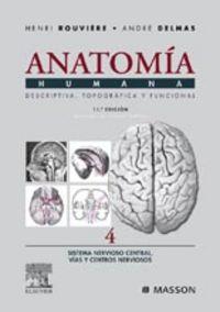 Vorderes Coverbild Anatomía humana, 11 ed. : descriptiva, topográfica y funcional : sistema nervioso central, vías y centros nerviosos