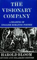 Vorderes Coverbild The Visionary Company