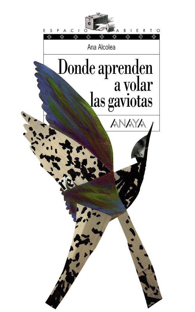 Vorderes Coverbild Donde aprenden a volar las gaviotas
