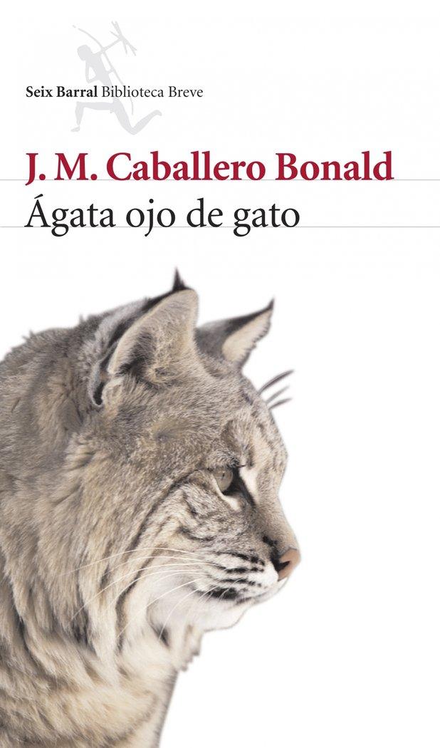 Vorderes Coverbild Ágata ojo de gato