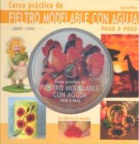 Vorderes Coverbild Curso práctico de fieltro modelable con aguja paso a paso