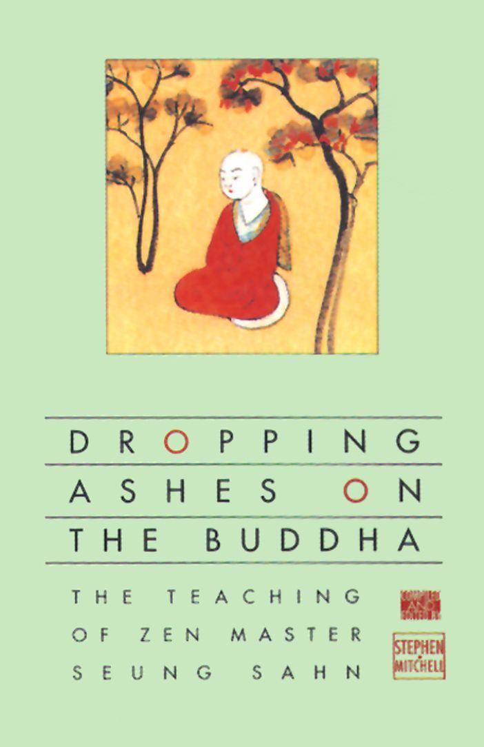 Vorderes Coverbild Dropping Ashes on the Buddha