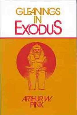 Vorderes Coverbild Gleanings in Exodus