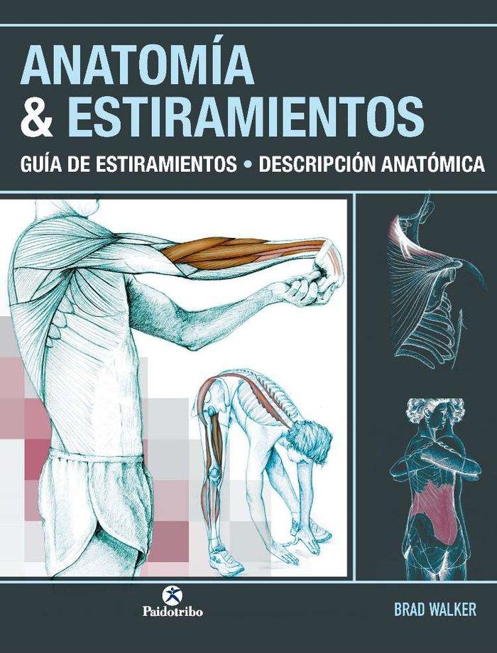 Vorderes Coverbild Anatomía & estiramientos : guía de estiramientos : descripción anatómica