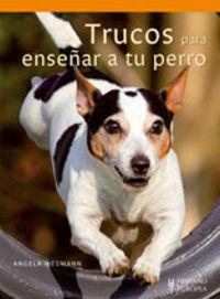 Vorderes Coverbild Trucos para enseñar a su perro