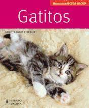 Vorderes Coverbild Gatitos : manuales mascotas en casa
