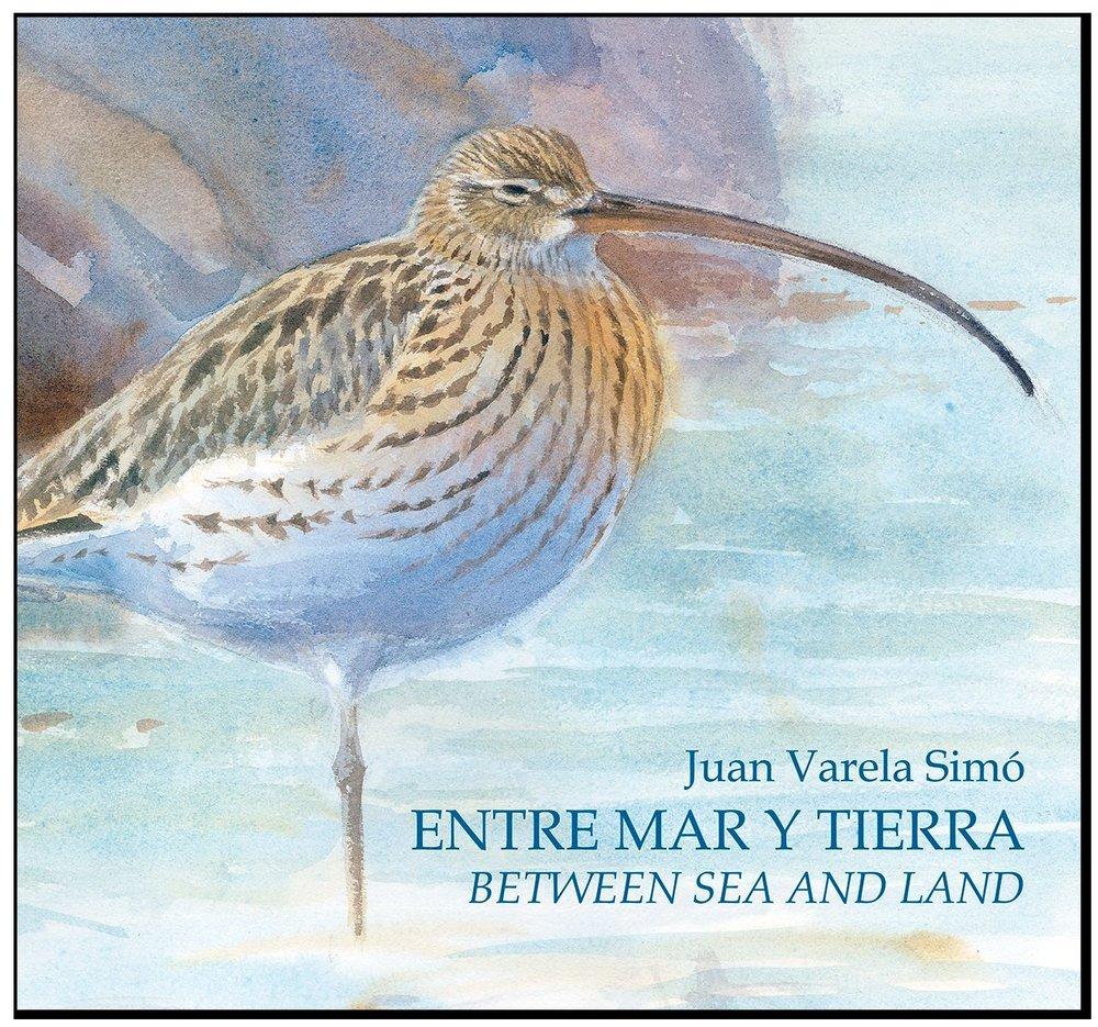 Vorderes Coverbild Entre mar y tierra : las marismas del Sur = Between sea and land : the Southern marshes