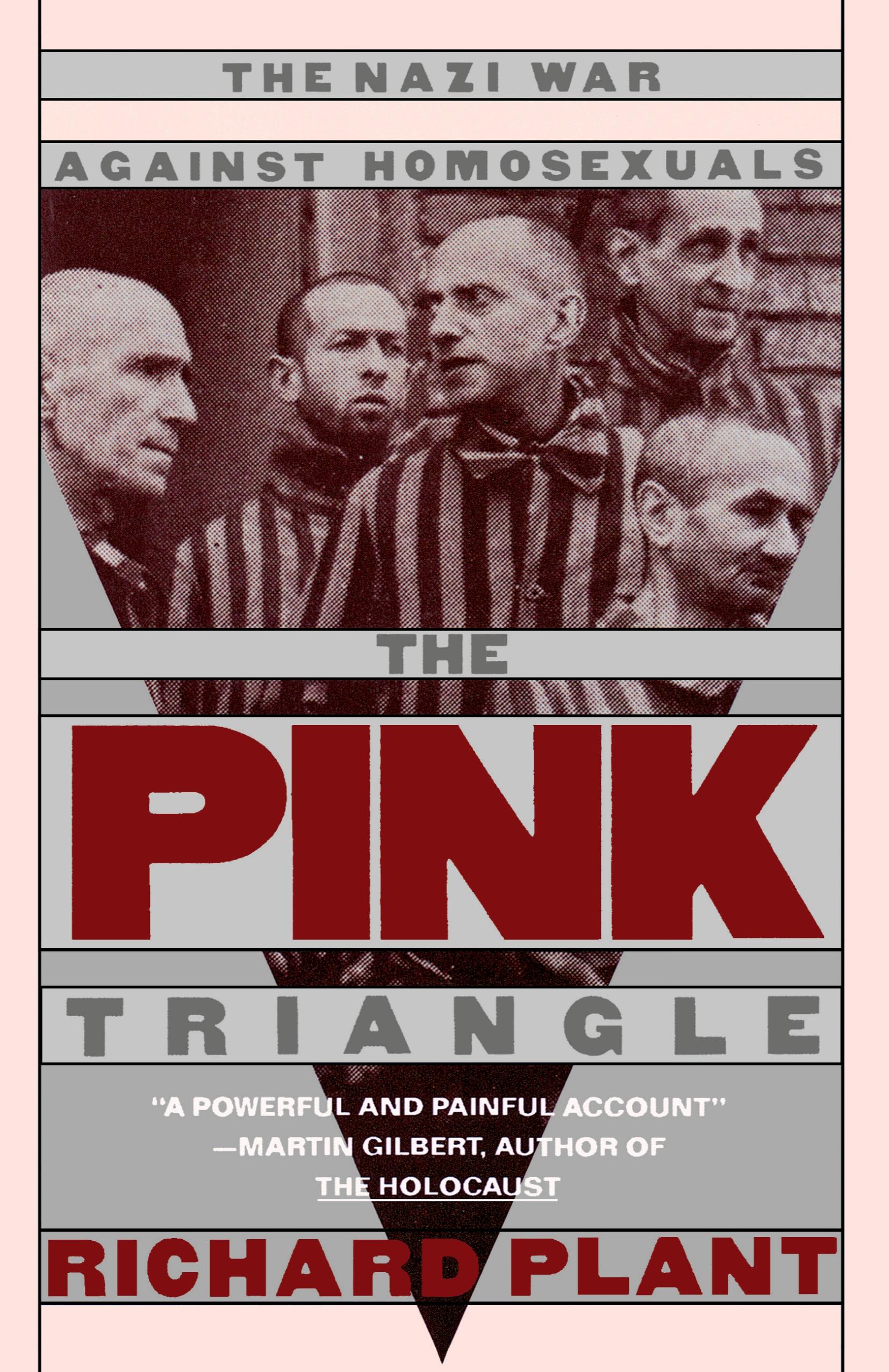 Vorderes Coverbild The Pink Triangle
