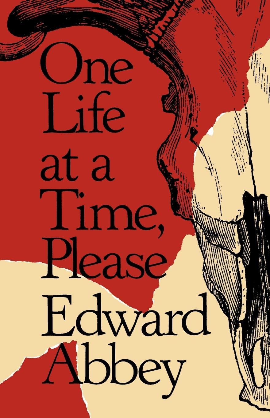 Vorderes Coverbild One Life at a Time, Please