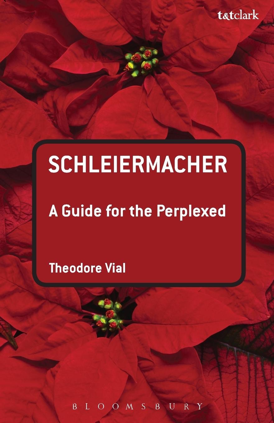 Vorderes Coverbild Schleiermacher