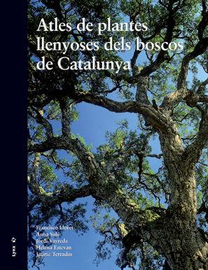 Vorderes Coverbild Atles de plantes llenyoses dels boscos de Catalunya