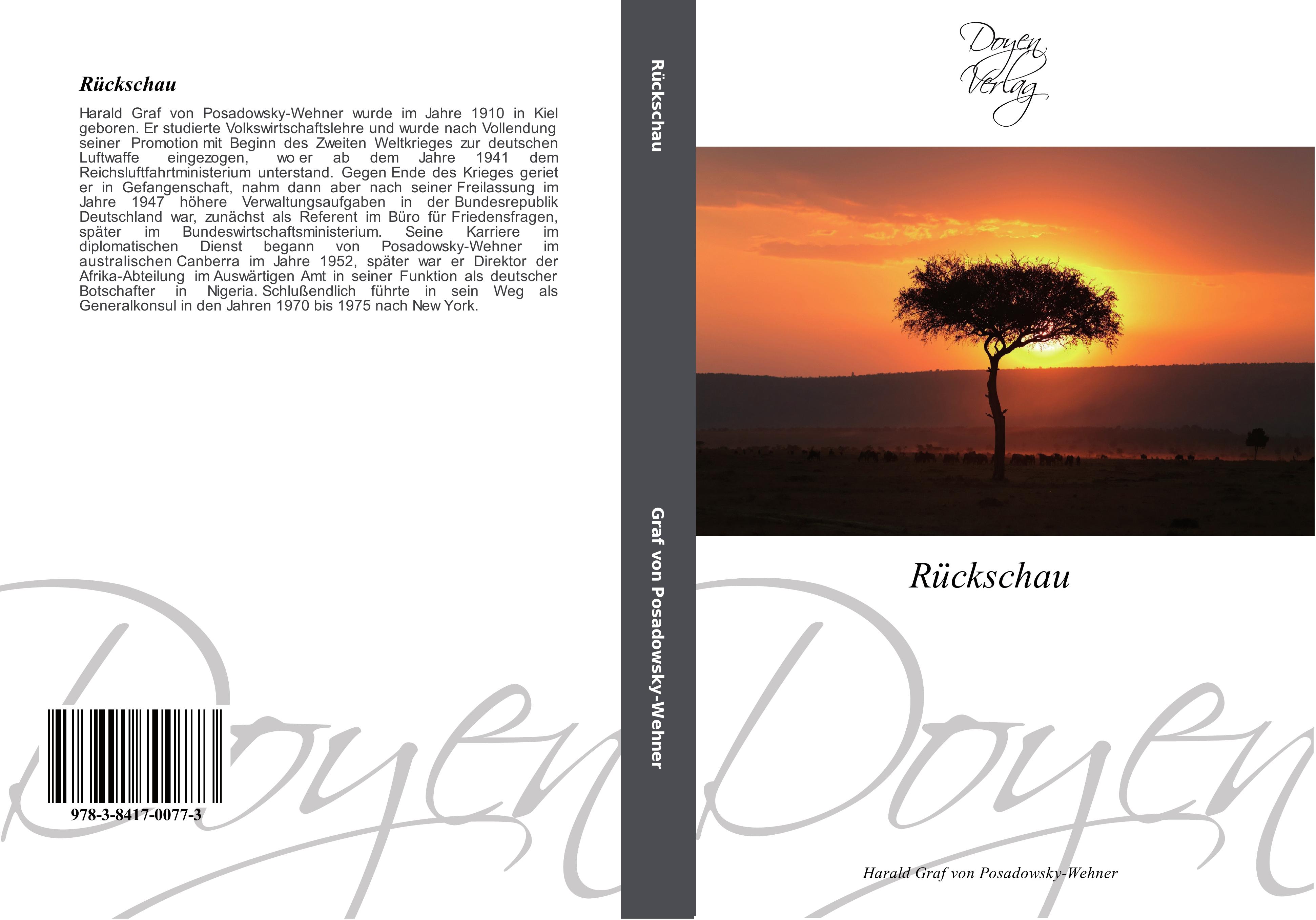 Vorderes Coverbild Rückschau