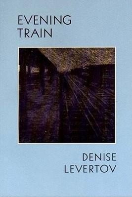 Vorderes Coverbild Evening Train